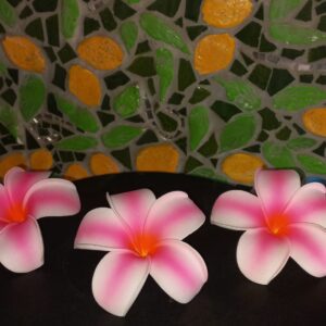 Frangipani